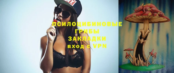 мдпв Горняк