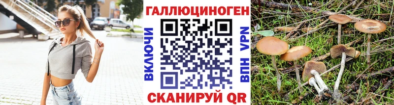 Галлюциногенные грибы MAGIC MUSHROOMS  Купить закладки  Старая Купавна 